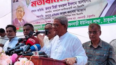 পিআর-টিআর বাদ দেন, নির্বাচনে আসেন: মির্জা ফখরুল