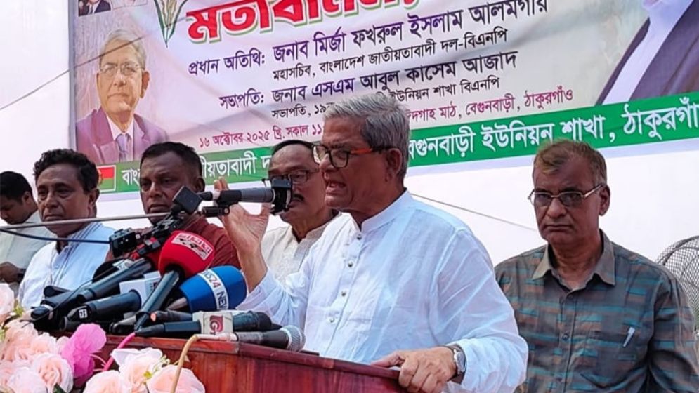 পিআর-টিআর বাদ দেন, নির্বাচনে আসেন: মির্জা ফখরুল