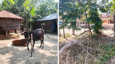 সাবেক চেয়ারম্যানের ২ ছেলের জমি দখল করে নেওয়ার অভিযোগ