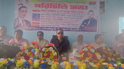 সিদ্ধান্তহীনতায় ভুগছে একটি দল: ব্যারিস্টার খোকন