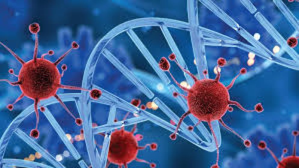 ৫০ ধরনের ক্যান্সার শনাক্তে রক্ত পরীক্ষায় চমকপ্রদ ফল