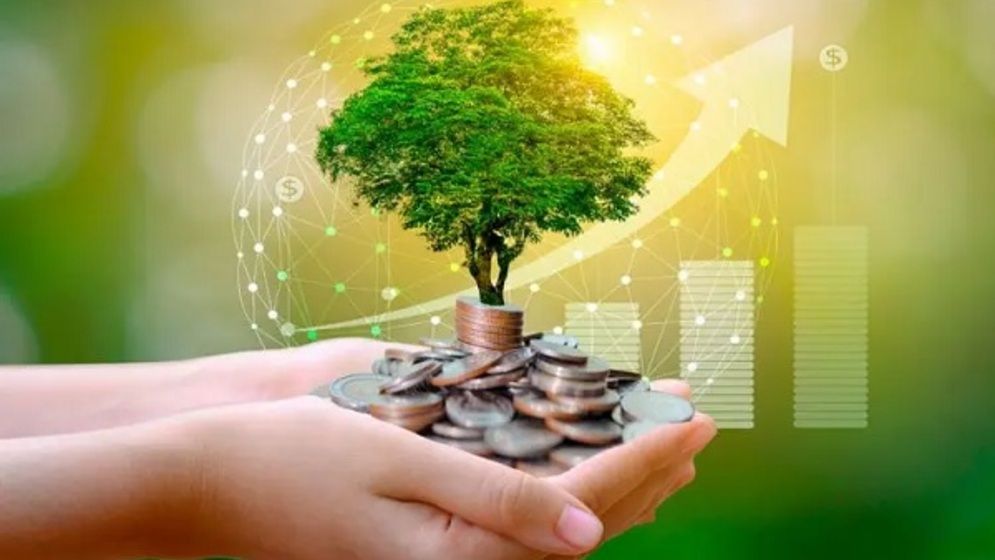 সবুজ অর্থনীতি গড়ার পথে এগ্রি-পিভি: সম্ভাবনা ও করণীয়