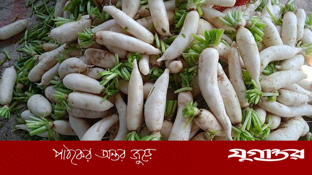 ৪০ কেজি মুলায় এক কেজি ভোজ্যতেল!