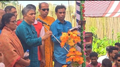 বিএনপি জনগণের দল: হাসান মামুন