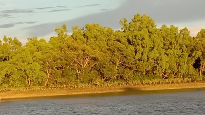 সুন্দরবনে রাসপূজায় পুণ্যার্থীদের যাতায়াতে কঠোর নিরাপত্তা