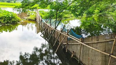 খালে বাধ দিয়ে যুবদলের সাবেক নেতার মাছ চাষ