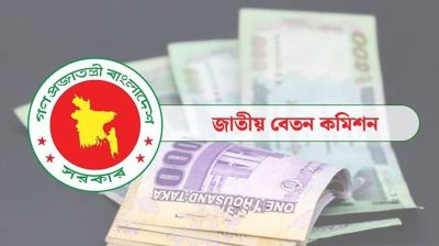 রাজস্ব আয় বাড়িয়ে বাড়তি ব্যয় মেটানো সম্ভব