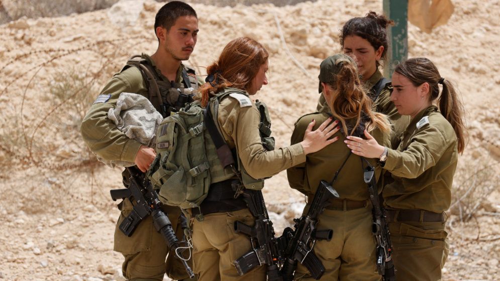 Inson va hayvonlar porno