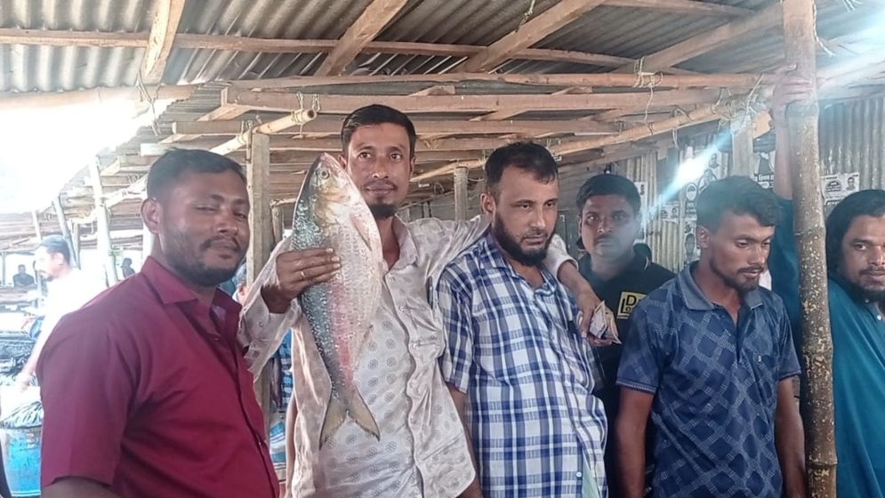 আড়াই কেজির এক ইলিশের দাম ৯২০০ টাকা!