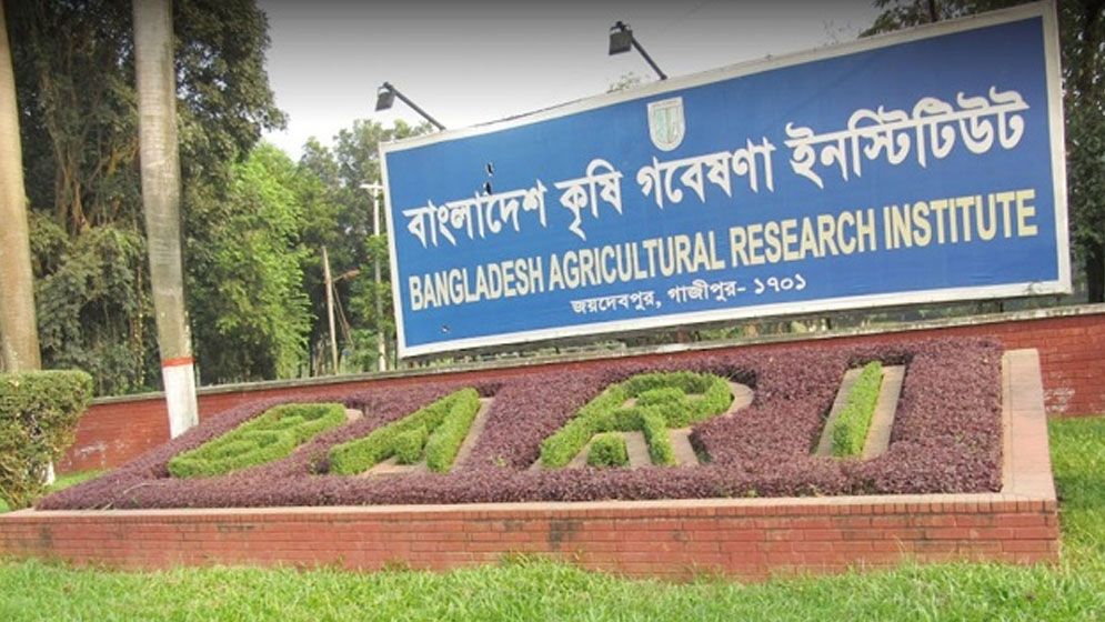 আবেদন না করেই ও পরীক্ষা না দিয়েই সরকারি চাকরি, অতঃপর...