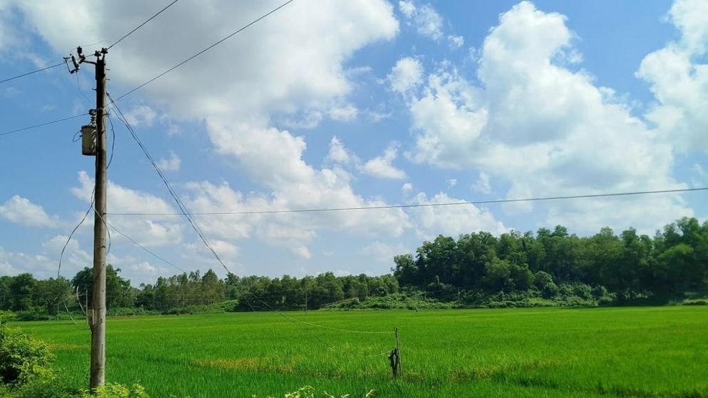 চুনতি বন্যপ্রাণী অভয়ারণ্যে বিদ্যুতের আগ্রাসন