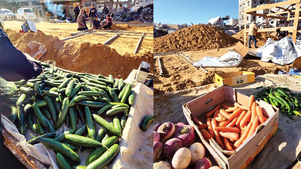 পৃথিবী যেন আমাদের ভুলে না যায় এবং আমরা শুধু বেঁচে থাকার গল্প নয়, পুনর্গঠনের গল্প বলতে পারি।