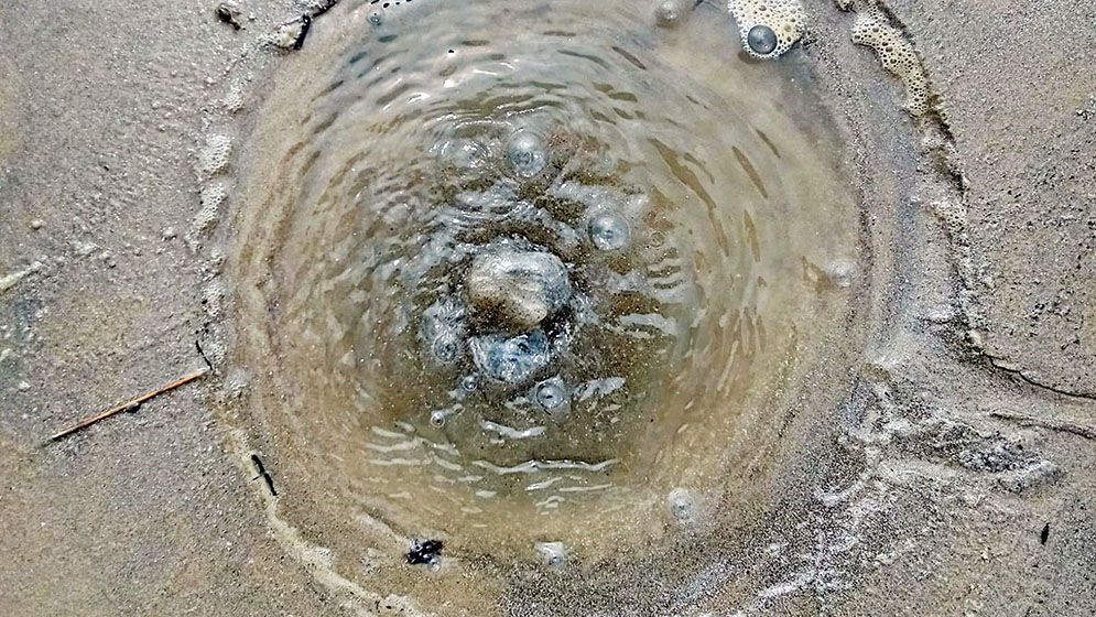 পদ্মাপাড়ে বুদবুদ নিয়ে এলাকায় চাঞ্চল্য