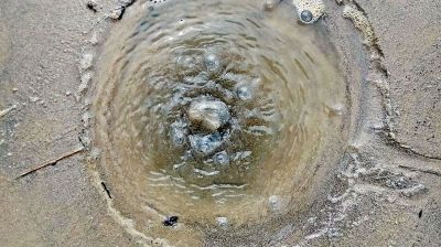 পদ্মাপাড়ে বুদবুদ নিয়ে এলাকায় চাঞ্চল্য