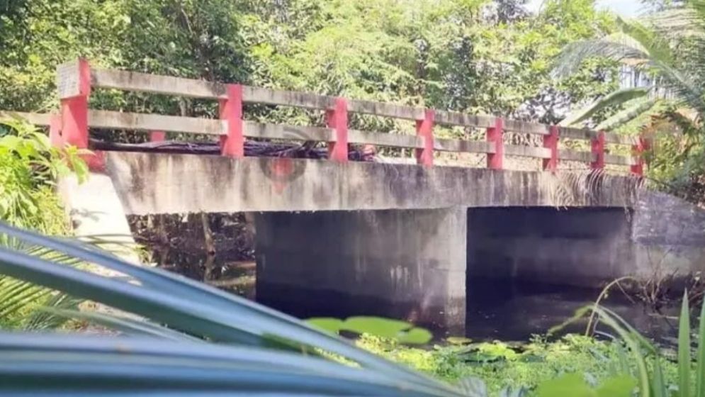 সাবেক সচিবের গাড়িচালকের পুকুরে যেতে ৩১ লাখ টাকার সরকারি সেতু