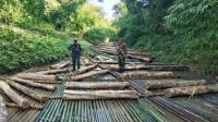 খাগড়াছড়িতে ১ কোটি ২০ লাখ টাকার অবৈধ কাঠ জব্দ