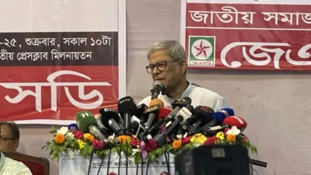 অন্তর্বর্তী সরকার জনগণের সঙ্গে বিশ্বাসঘাতকতা করেছে: মির্জা ফখরুল
