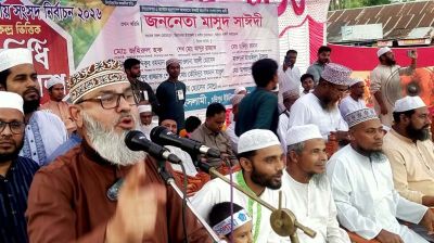 শত্রুরা আমাদের বন্ধু বিএনপির সঙ্গে দ্বন্দ্ব তৈরির চেষ্টা করছে: মাসুদ সাঈদী