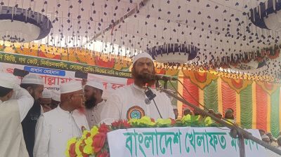 ভোট কেন্দ্রগুলো কুকুরের দখলে ছিল: মামুনুল হক