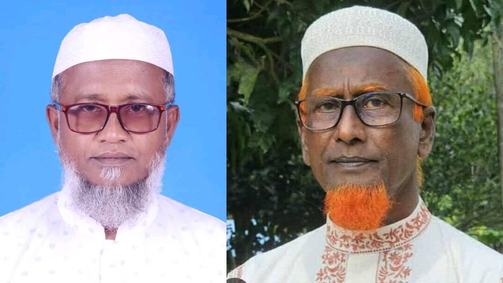 একই আসনে বিএনপি-জামায়াতের প্রার্থী দুই ভাই