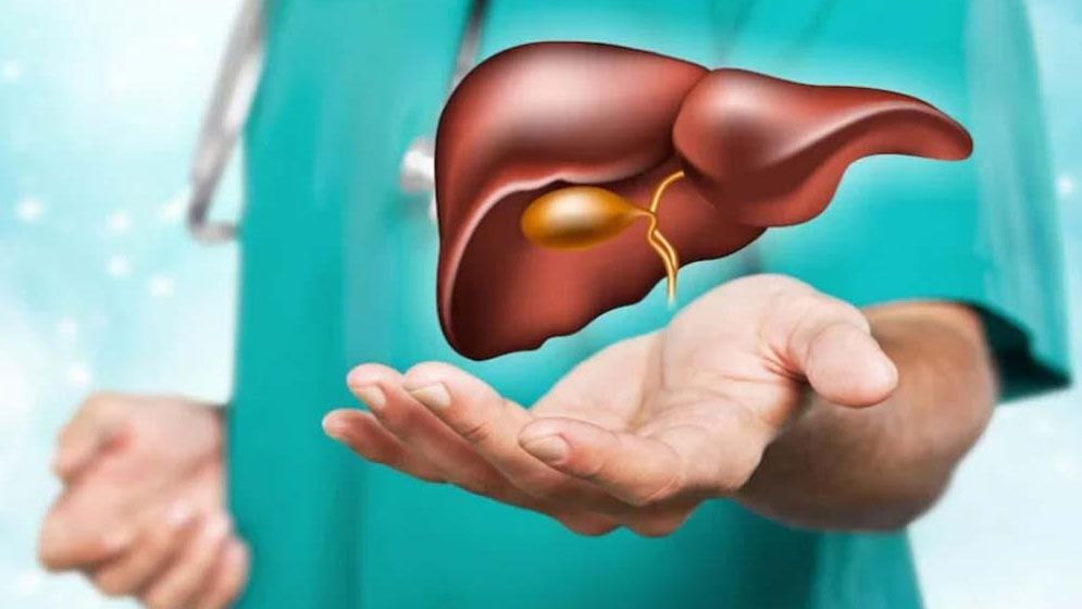 লিভার সুস্থ আছে কিনা বুঝবেন যেভাবে