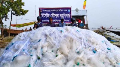 সাড়ে ৩১ কোটি টাকার জাল আটক