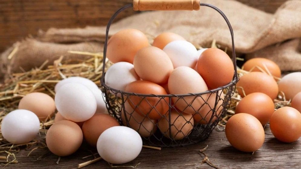 লাল নাকি সাদা— কোন রঙের ডিম বেশি উপকারী?
