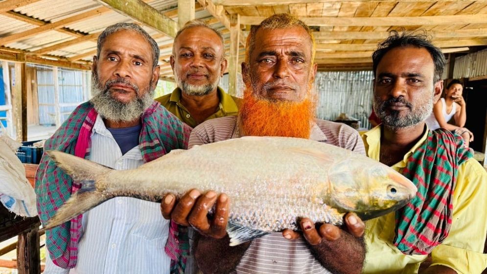 এক ইলিশের দাম ১০ হাজার ৭০০ টাকা