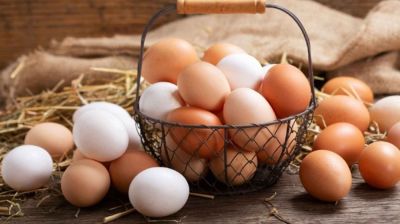 লাল নাকি সাদা— কোন রঙের ডিম বেশি উপকারী?
