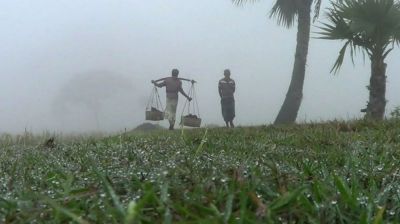 কুয়াশা নিয়ে আবহাওয়া অধিদপ্তরের নতুন বার্তা