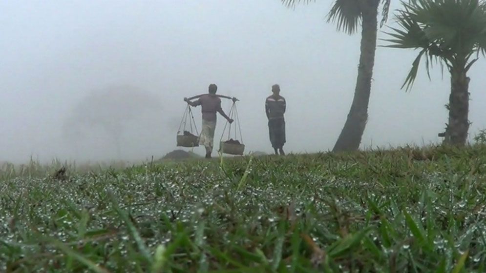 কুয়াশা নিয়ে আবহাওয়া অধিদপ্তরের নতুন বার্তা