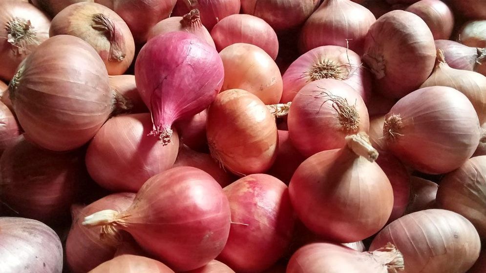 আমদানির সুপারিশে কি পেঁয়াজের দাম কমবে