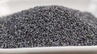 পপি সিড বা পোস্ত দানা কি এক, বাংলাদেশের আইন কী বলে?