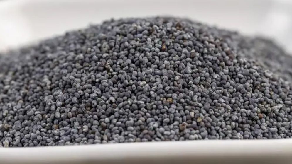 পপি সিড বা পোস্ত দানা কি এক, বাংলাদেশের আইন কী বলে?