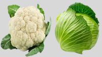 পুষ্টিগুণ বেশি কোনটির— ফুলকপি নাকি বাঁধাকপি?