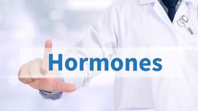 হরমোন জীবন ও যৌবনের সঙ্গী