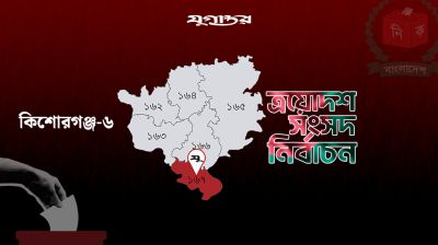 পলাতক পাপনের আসনে বিএনপির শরীফুল আলম