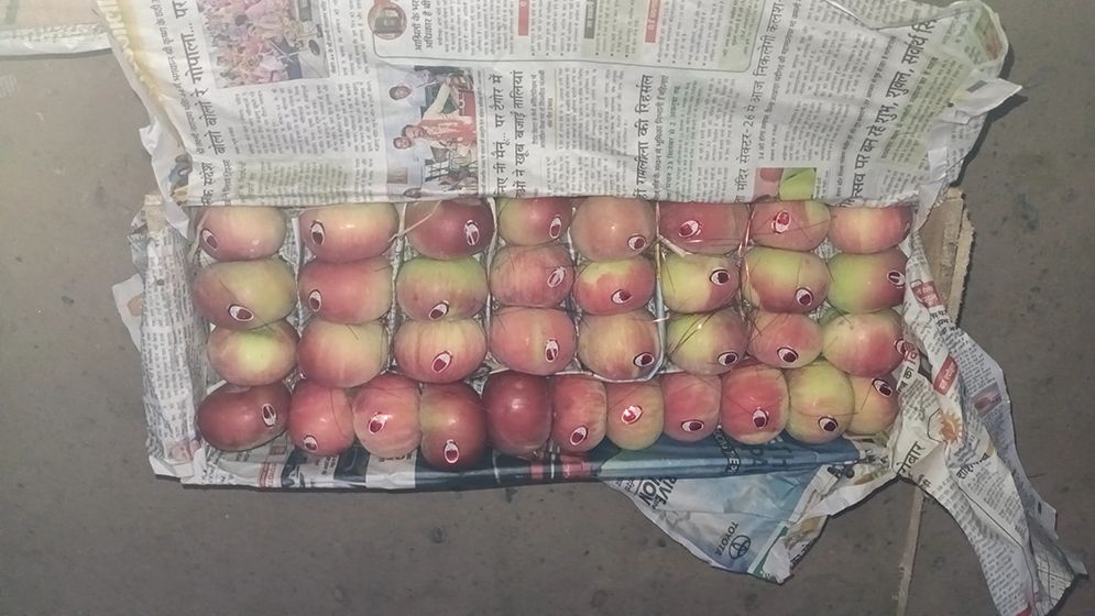 ১১ বছর পর হিলি দিয়ে ভারত থেকে আপেল আমদানি