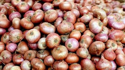 বগুড়ায় পেঁয়াজের সেঞ্চুরি