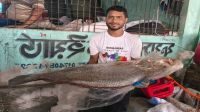 জালে ধরা পড়ল ২১ কেজির ‘ব্ল্যাক ডায়মন্ড’