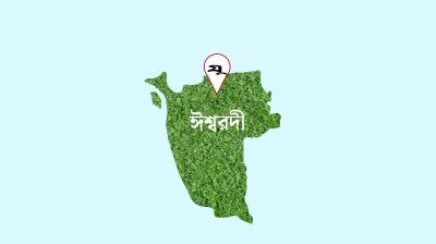 ঈশ্বরদীতে বিএনপি কর্মীকে কুপিয়ে জখম