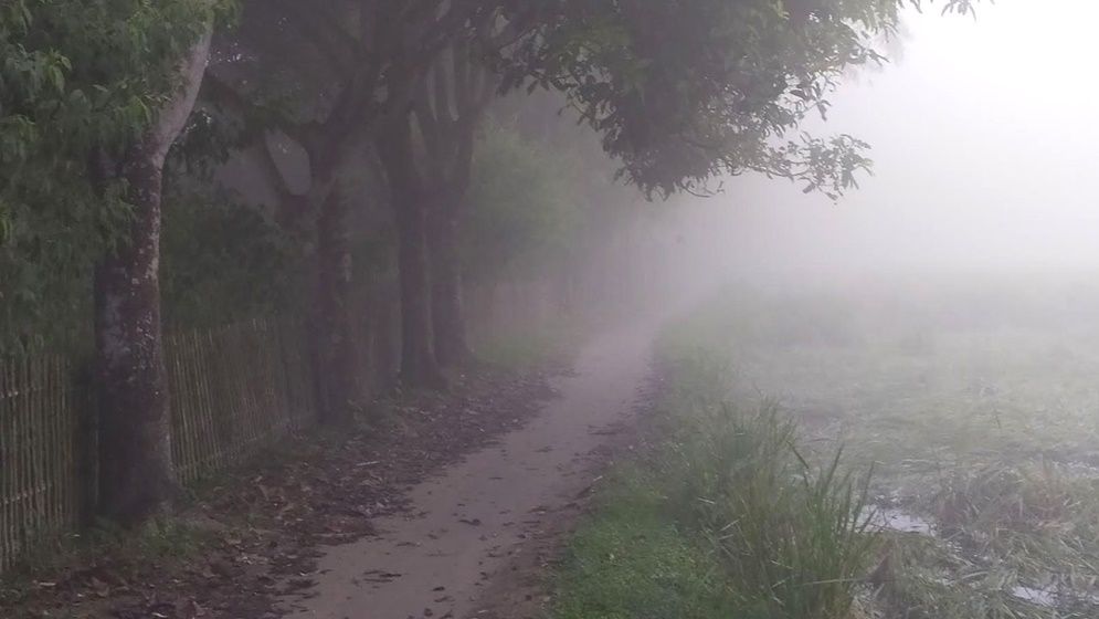 পঞ্চগড়ে তাপমাত্রা নামল ১৪ ডিগ্রিতে, হেডলাইট জ্বালিয়ে চলছে যান