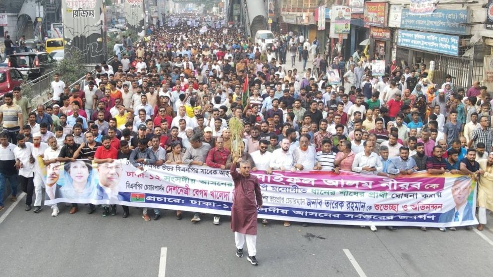 ষড়যন্ত্র মোকাবেলা করে ধানের শীষের প্রার্থীকে বিজয়ী করুন: নীরব