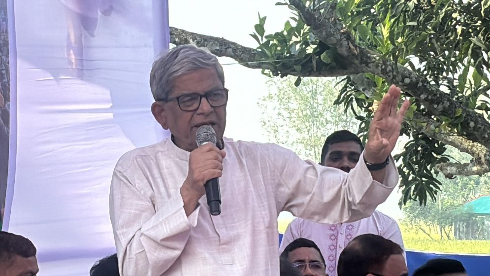 ঐকমত্যের বাইরে কিছু চাপিয়ে দিলে সব দায় সরকারকে নিতে হবে: ফখরুল