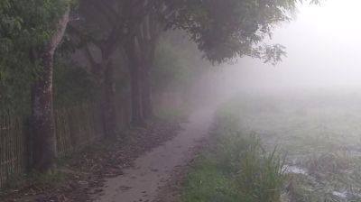 পঞ্চগড়ে তাপমাত্রা নামল ১৪ ডিগ্রিতে, হেডলাইট জ্বালিয়ে চলছে যান