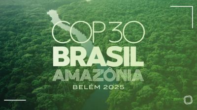 অ্যামাজনে ১ লাখ গাছ কেটে ‘জলবায়ু বাঁচাও’ যাত্রা শুরু