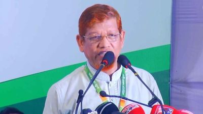 গণভোট না হলে জাতীয় নির্বাচন হবে ২০২৯ সালে: হামিদুর রহমান আযাদ