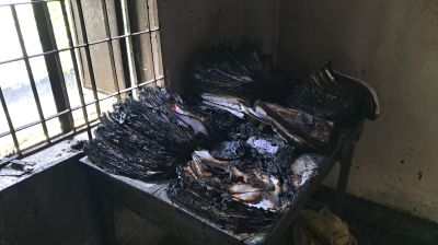 ব্রাহ্মণবাড়িয়ায় গ্রামীণ ব্যাংকে আগুন