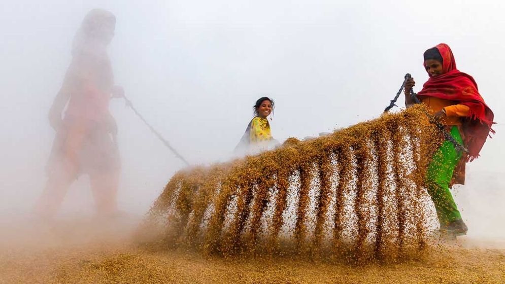 দোহা ফটোগ্রাফি পুরস্কার জিতলেন বাংলাদেশি আলোকচিত্রী রোহান