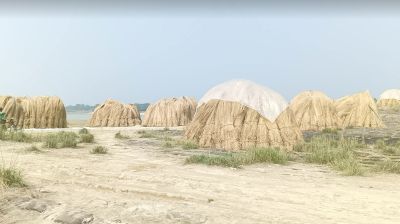 পদ্মার চরে খড়ের টাকা ভাগাভাগি করে নেয় ১১ বাহিনী